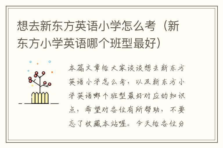 想去新东方英语小学怎么考（新东方小学英语哪个班型最好）