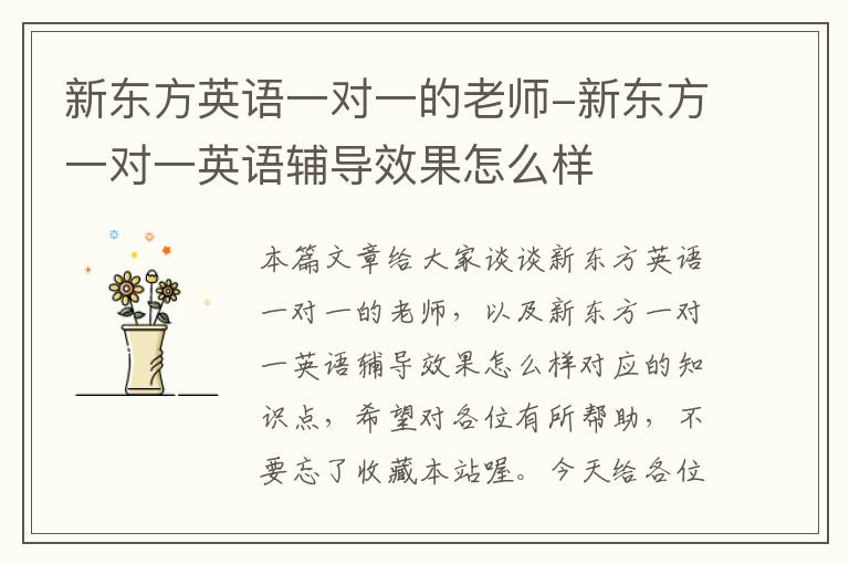 新东方英语一对一的老师-新东方一对一英语辅导效果怎么样
