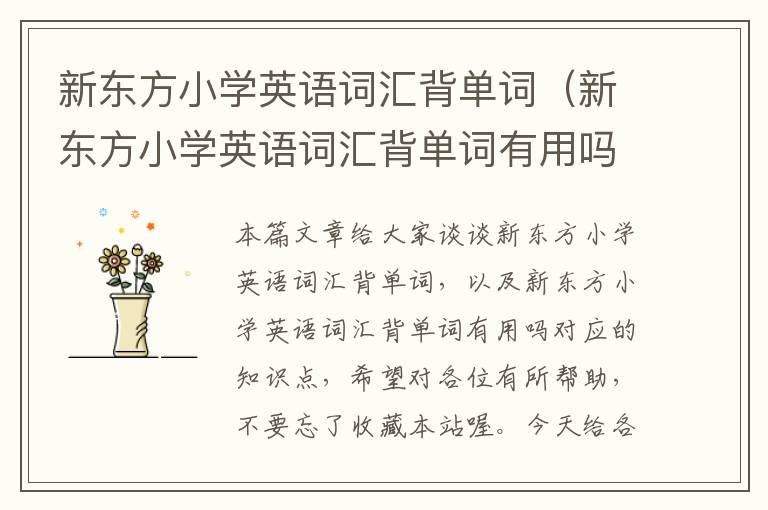 新东方小学英语词汇背单词（新东方小学英语词汇背单词有用吗）