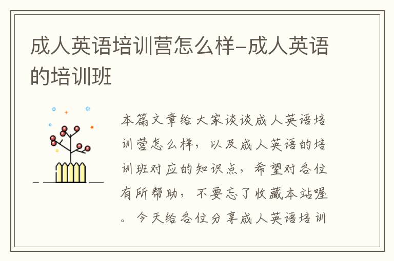 成人英语培训营怎么样-成人英语的培训班