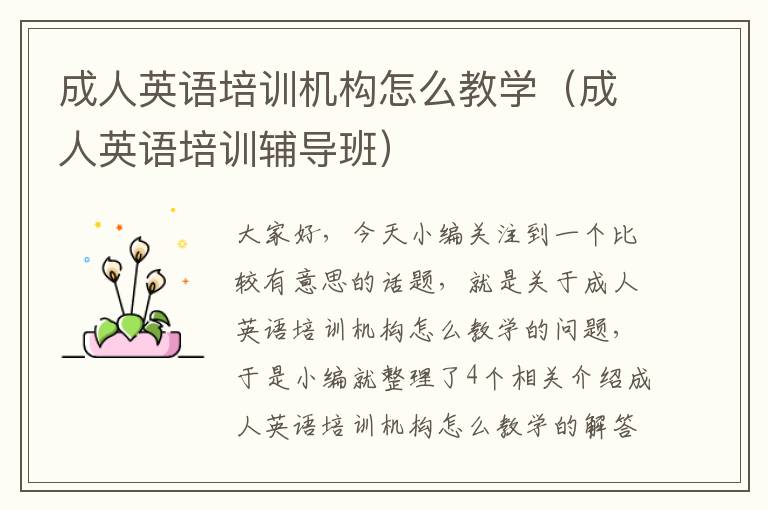 成人英语培训机构怎么教学(成人英语培训辅导班)