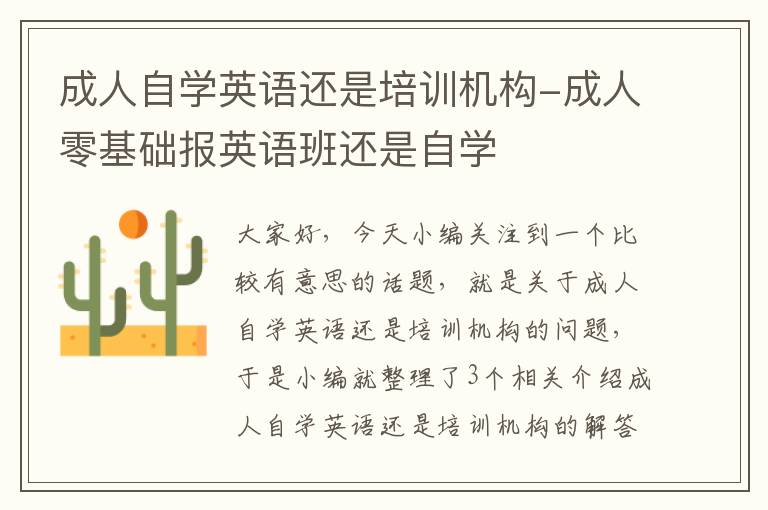成人自学英语还是培训机构-成人零基础报英语班还是自学
