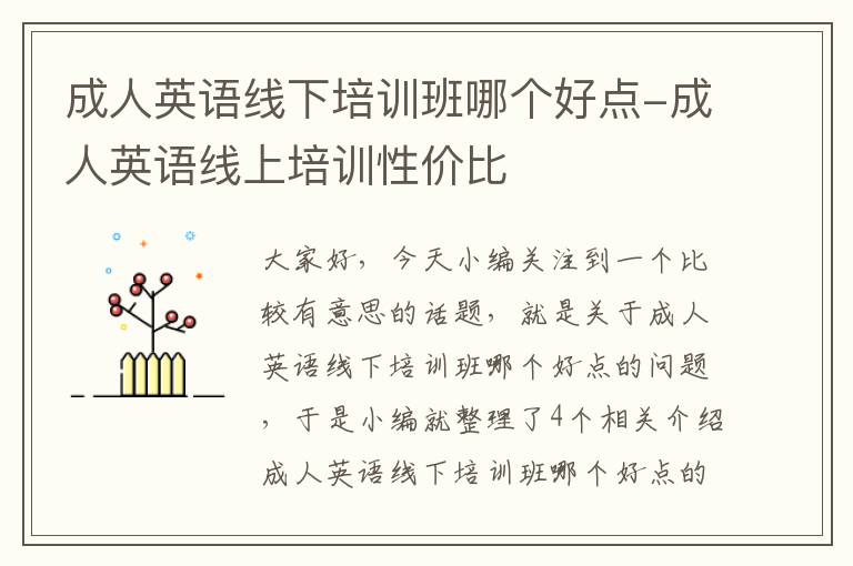 成人英语线下培训班哪个好点-成人英语线上培训性价比