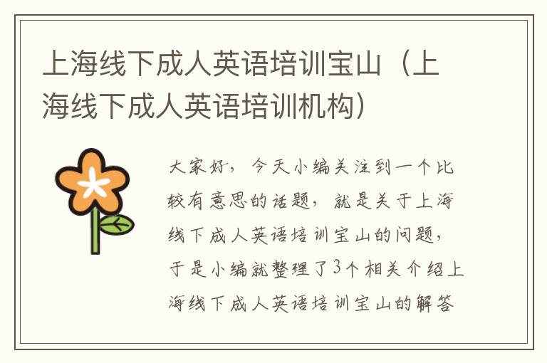 上海线下成人英语培训宝山(上海线下成人英语培训机构)
