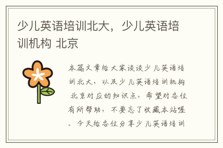 少儿英语培训北大，少儿英语培训机构 北京