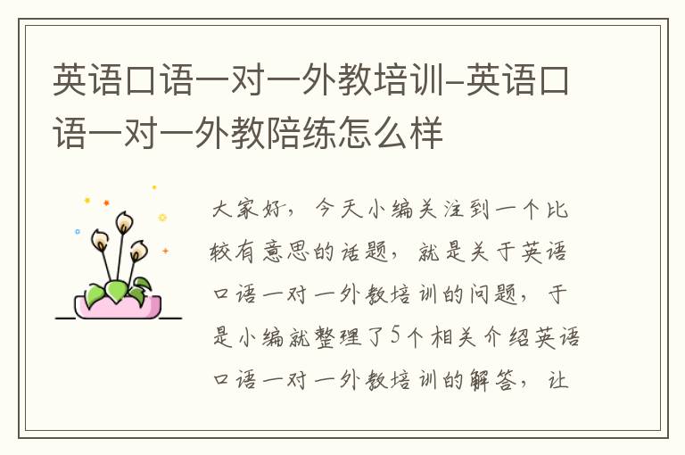 英语口语一对一外教培训-英语口语一对一外教陪练怎么样