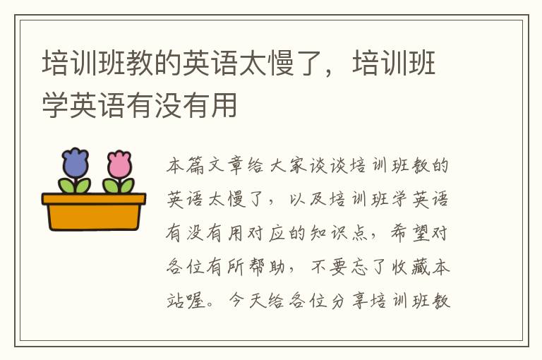 培训班教的英语太慢了,培训班学英语有没有用