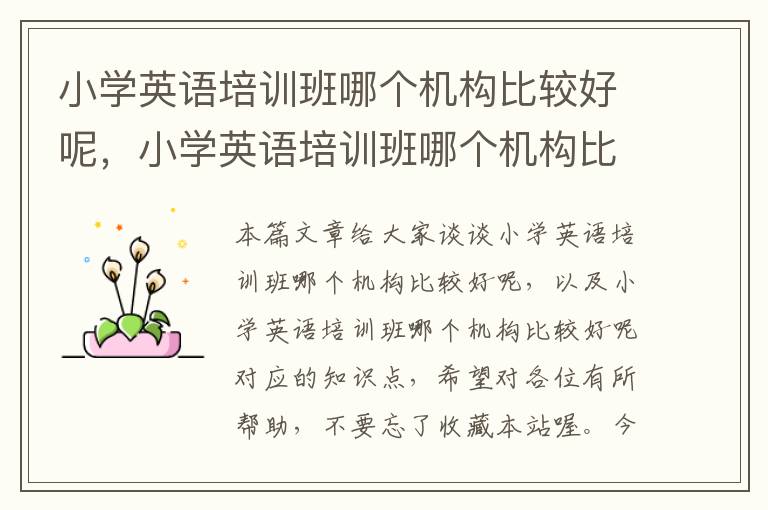 小学英语培训班哪个机构比较好呢,小学英语培训班哪个机构比较好呢