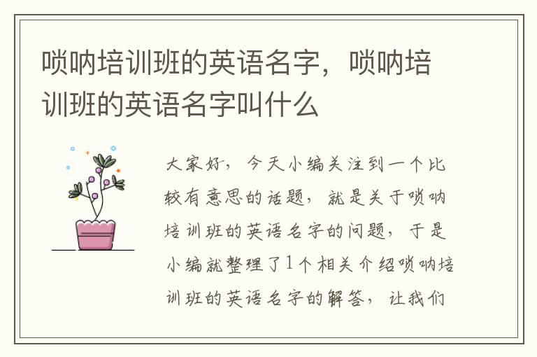 唢呐培训班的英语名字，唢呐培训班的英语名字叫什么