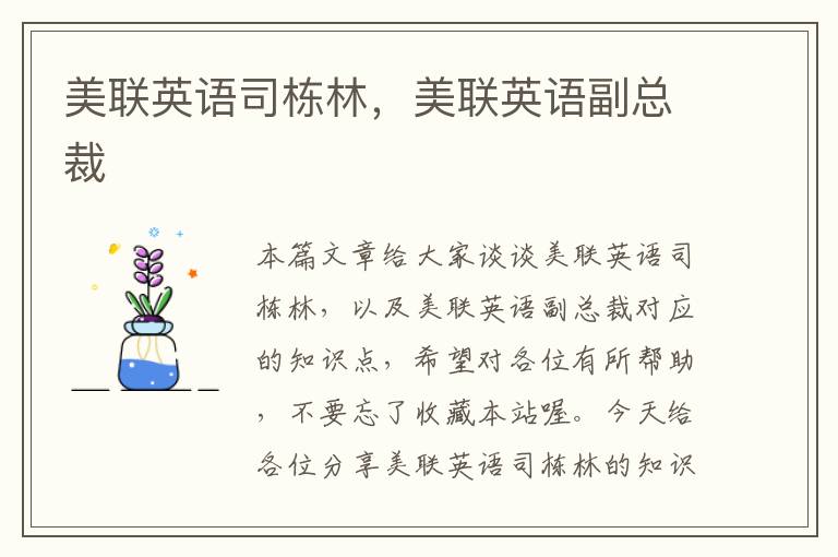 美联英语司栋林，美联英语副总裁