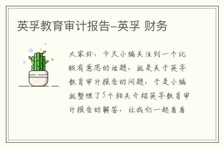 英孚教育审计报告-英孚 财务