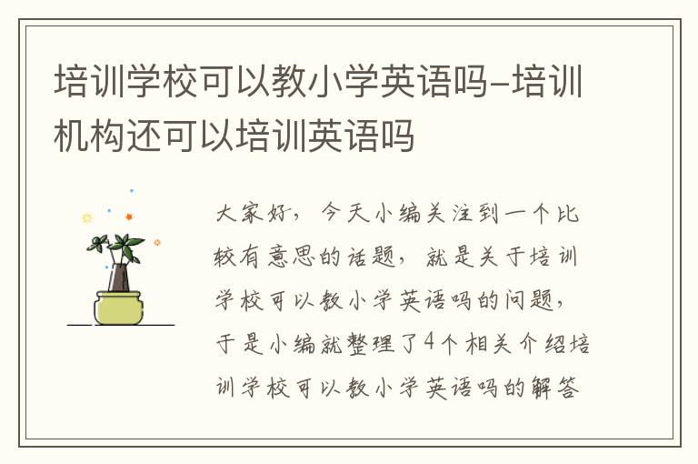 培训学校可以教小学英语吗-培训机构还可以培训英语吗