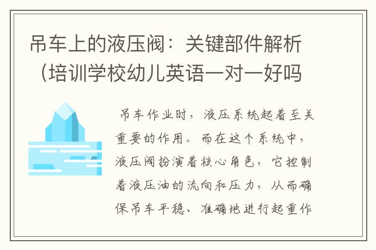 吊车上的液压阀：关键部件解析（培训学校幼儿英语一对一好吗）