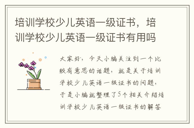 培训学校少儿英语一级证书,培训学校少儿英语一级证书有用吗